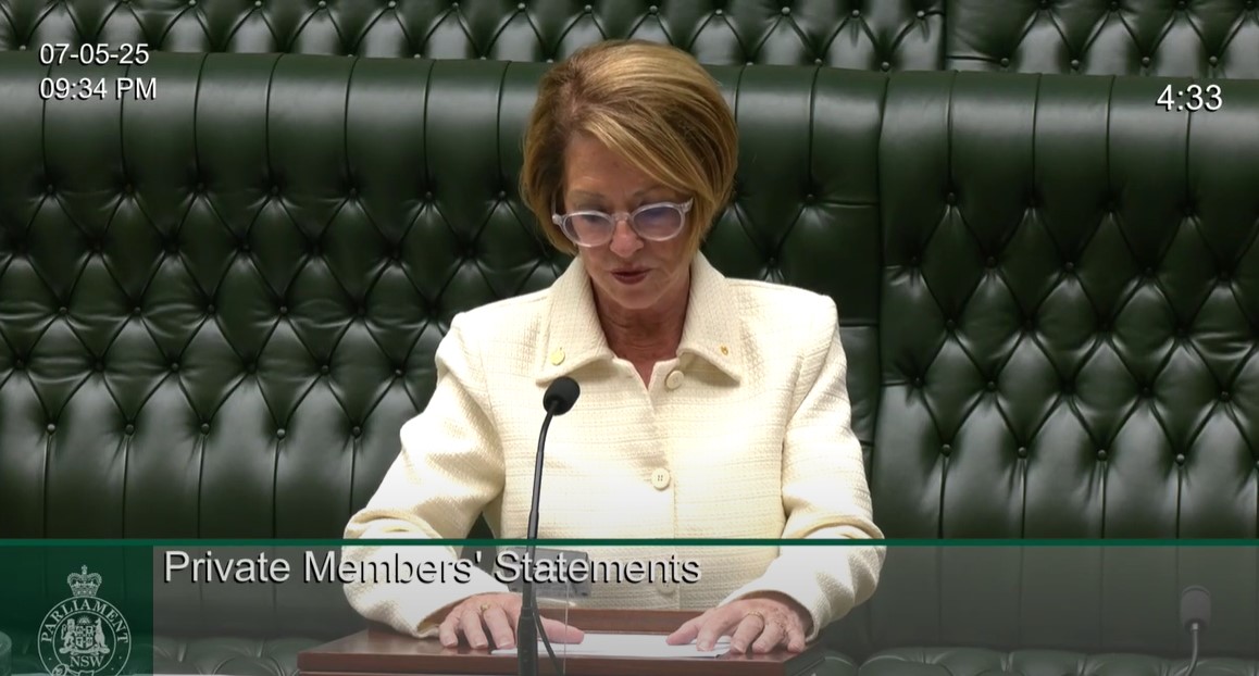 karen mckeown - parliamentary speech